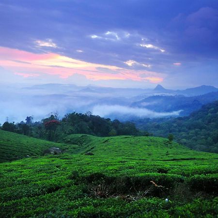 Violet Woods Hotell Munnar Exteriör bild